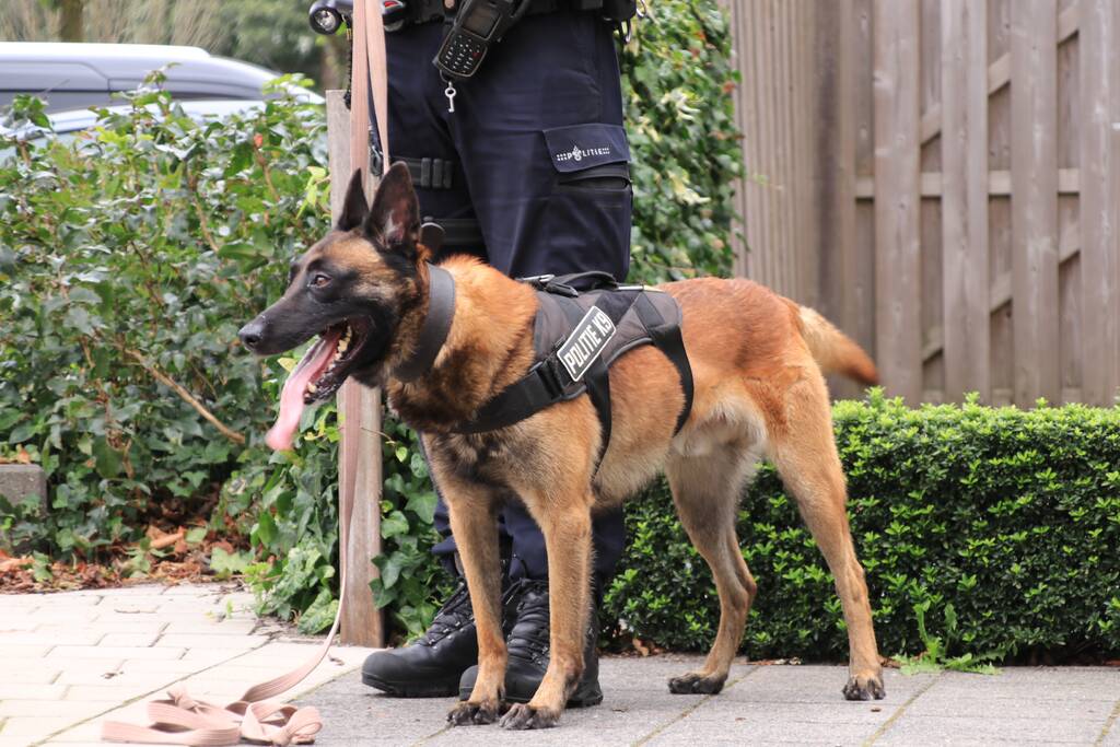 Politie-achtervolging eindigt in aanhoudingen