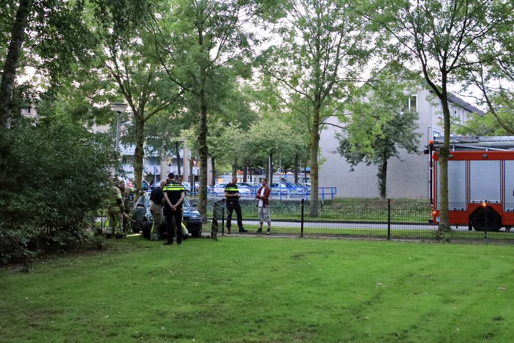 Auto ramt hekwerk hondenuitlaatplek