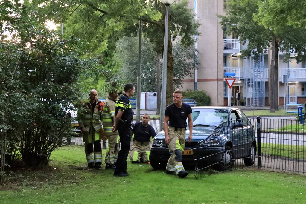 Auto ramt hekwerk hondenuitlaatplek