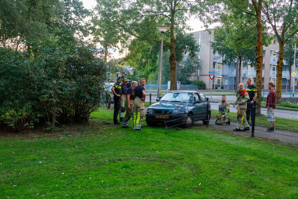 Auto ramt hekwerk hondenuitlaatplek