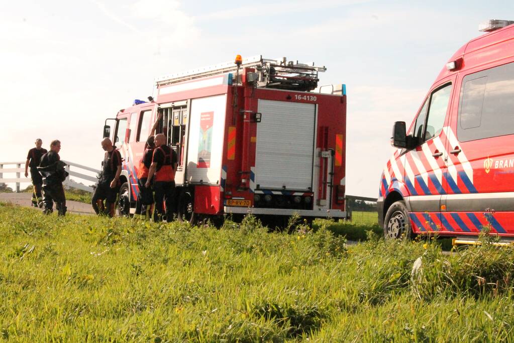 Stier belandt in sloot en wordt gered