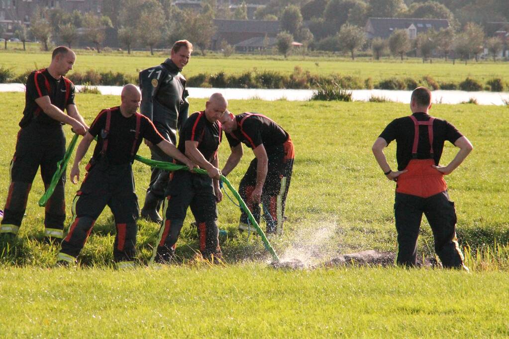 Stier belandt in sloot en wordt gered