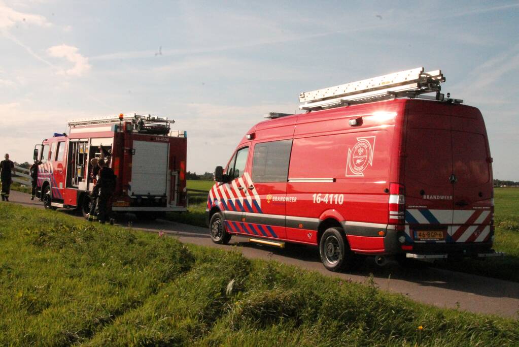 Stier belandt in sloot en wordt gered