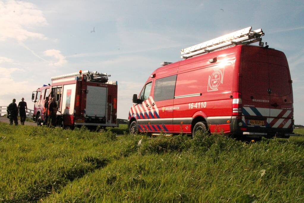 Stier belandt in sloot en wordt gered