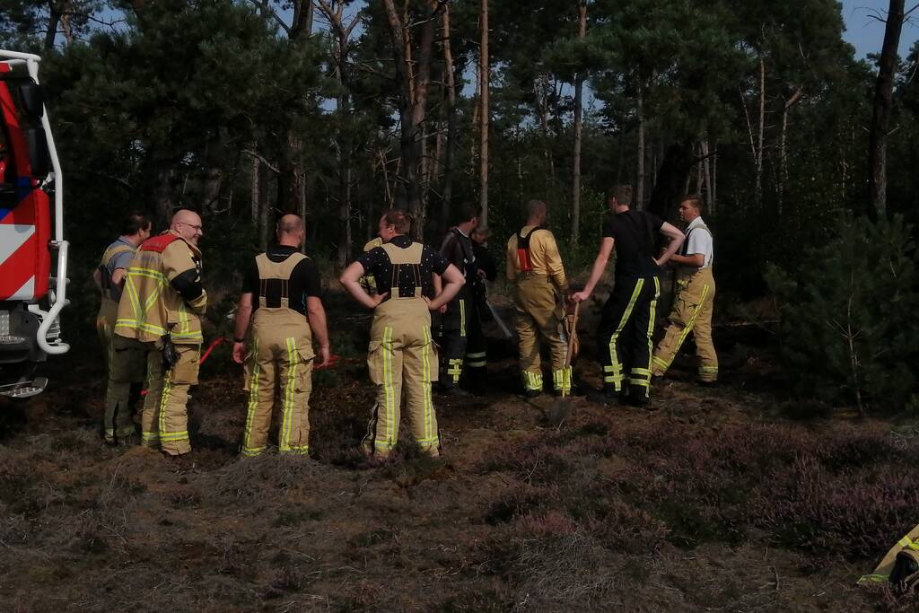 Brand in natuurgebied snel geblust