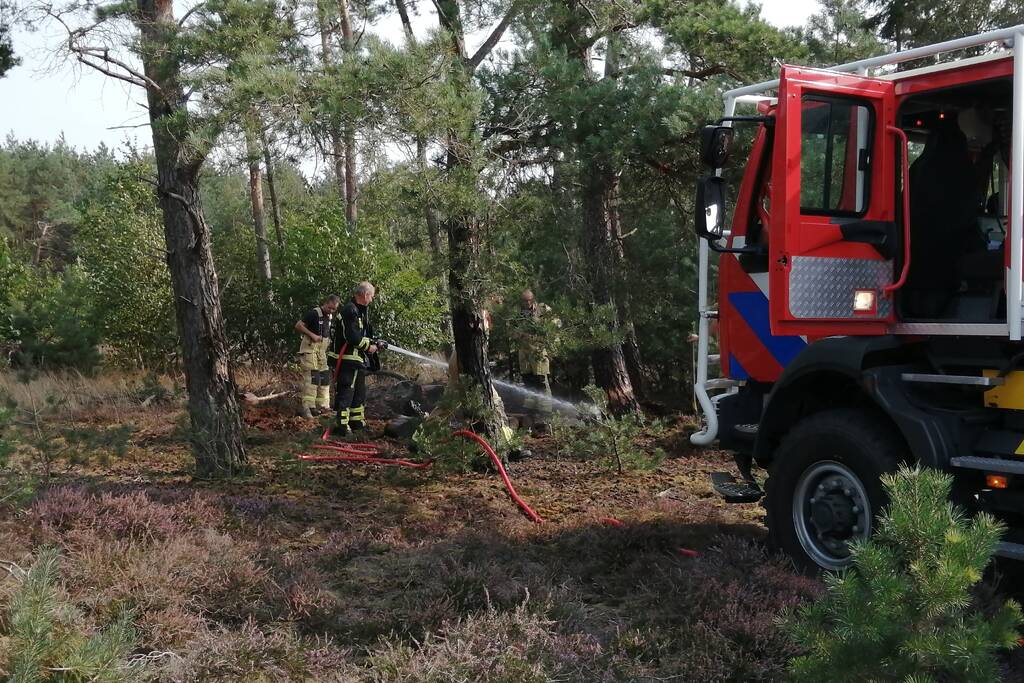 Brand in natuurgebied snel geblust
