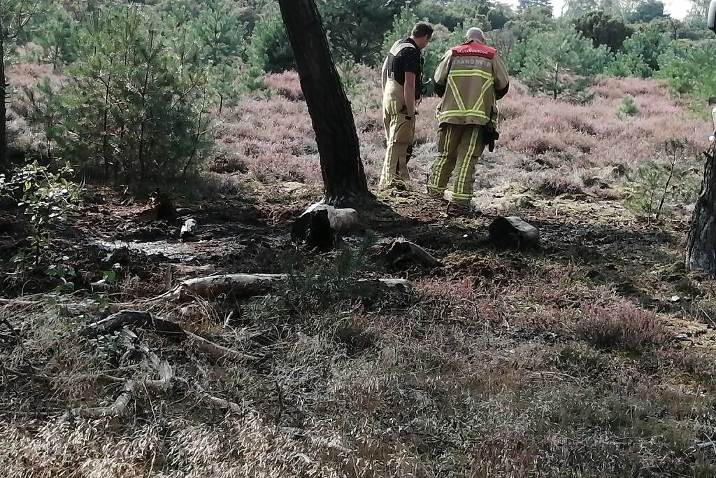 Brand in natuurgebied snel geblust
