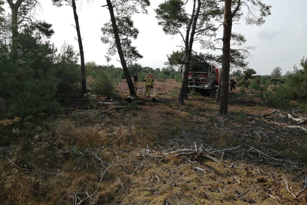 Brand in natuurgebied snel geblust