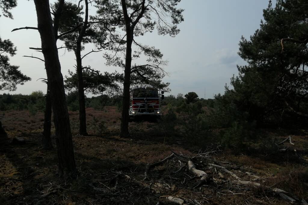 Brand in natuurgebied snel geblust