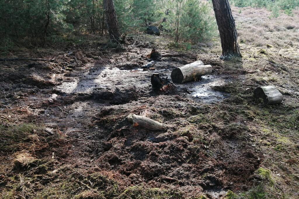 Brand in natuurgebied snel geblust