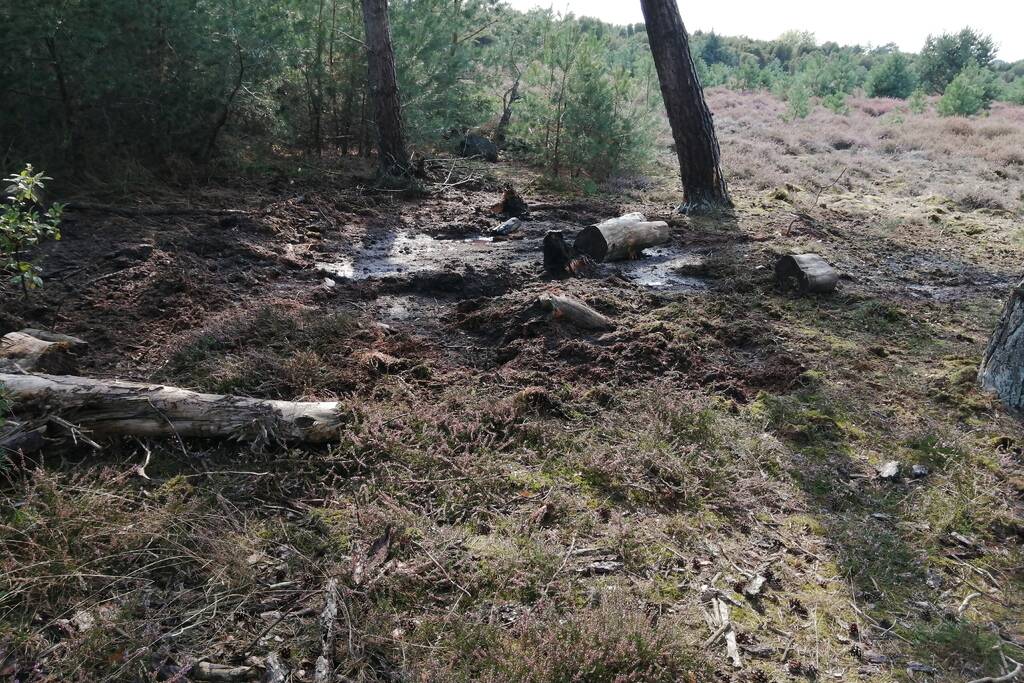 Brand in natuurgebied snel geblust