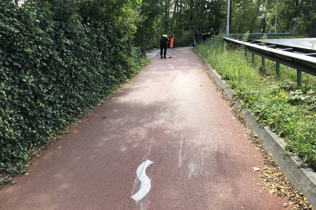 Automobilist knalt tegen vangrail en belandt tegen boom