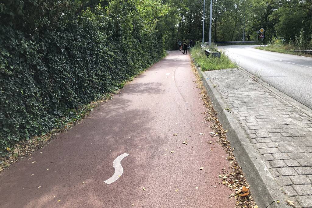 Automobilist knalt tegen vangrail en belandt tegen boom