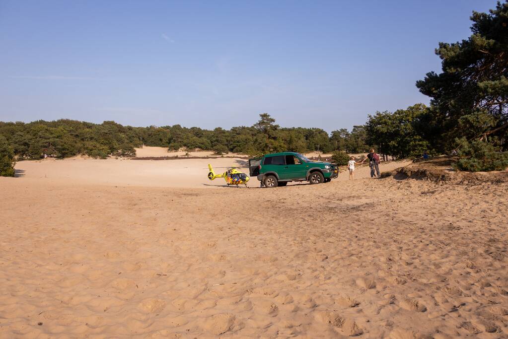 Meisje valt uit boom en raakt zwaargewond
