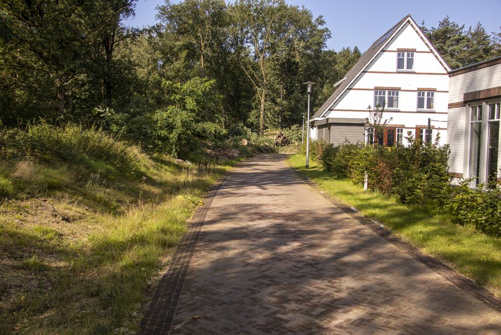 Nieuwe bewoners villawijk redden 17 bomen van kap
