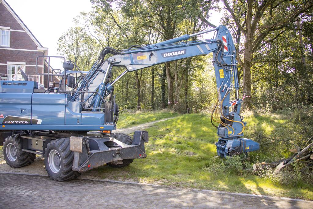 Nieuwe bewoners villawijk redden 17 bomen van kap