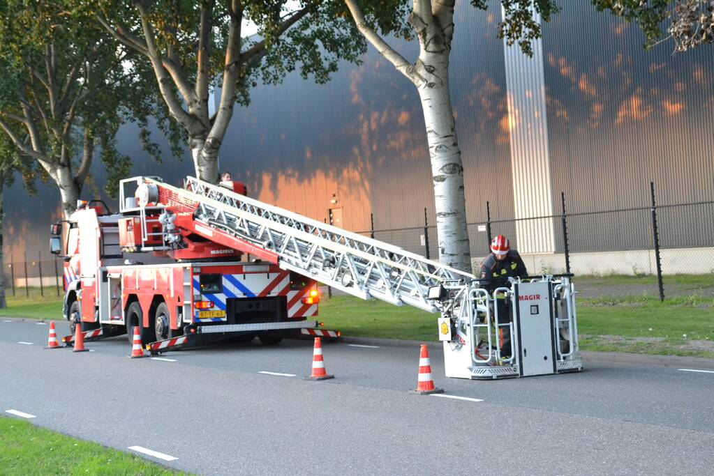 Gevaarlijk hangende tak verwijderd