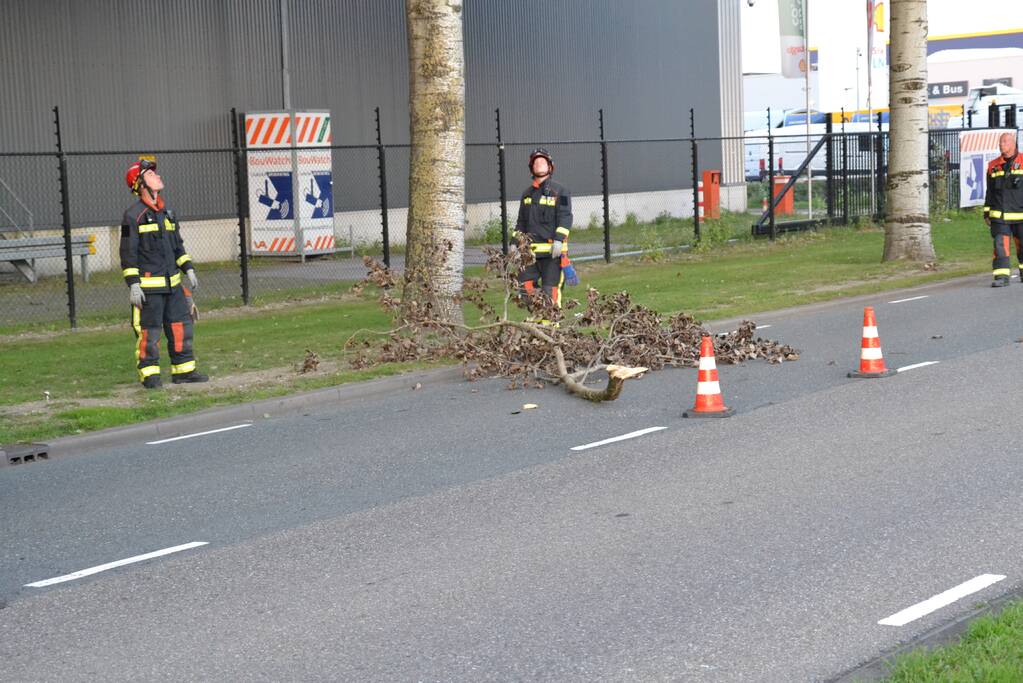 Gevaarlijk hangende tak verwijderd