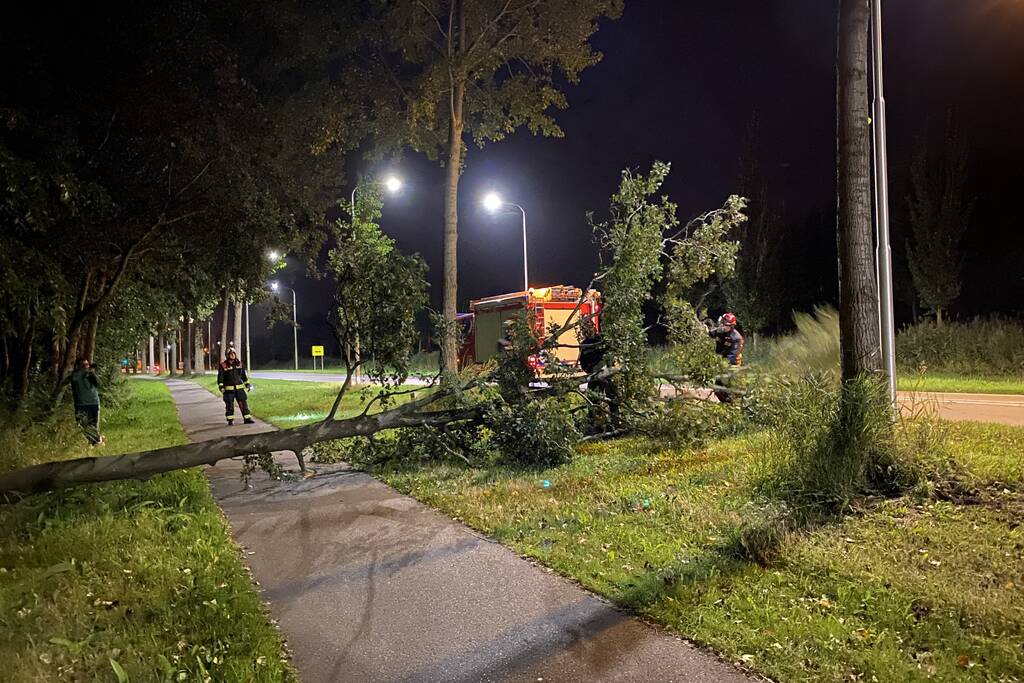 Boom valt over fietspad