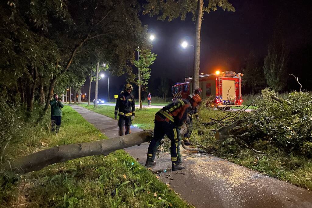 Boom valt over fietspad