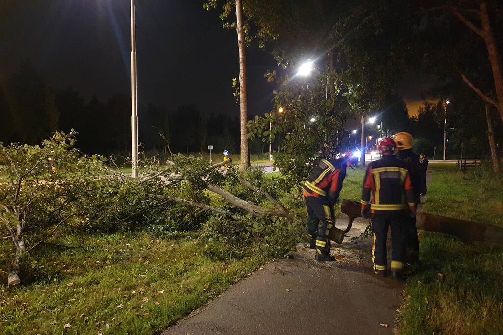 Boom valt over fietspad