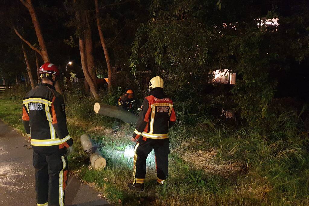 Boom valt over fietspad