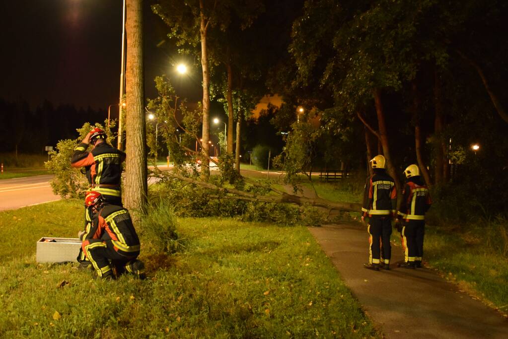 Boom valt over fietspad