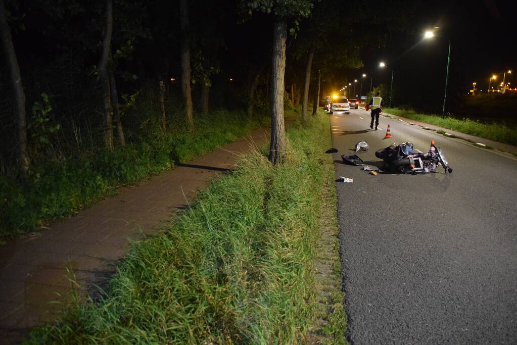 Scooterrijder knalt tegen boom en raakt gewond
