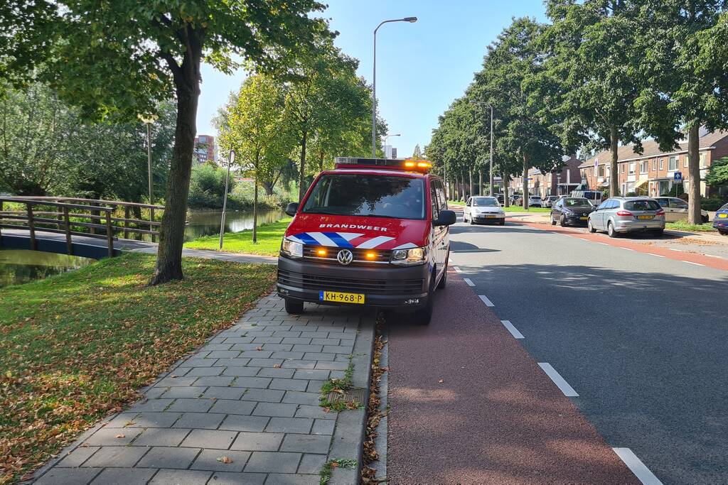 Omstanders redden oudere man uit water