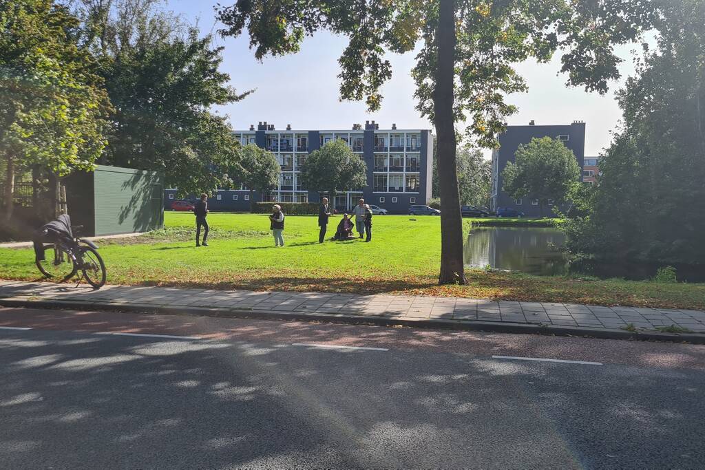 Omstanders redden oudere man uit water