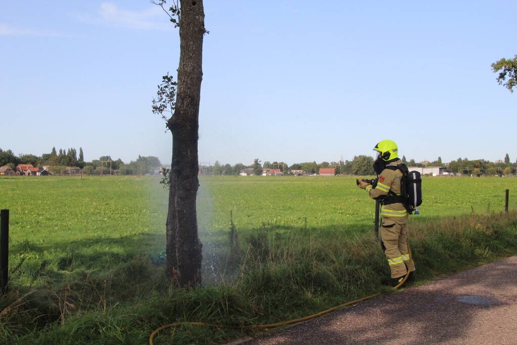 Vuurwerk zorgt voor brand in boom