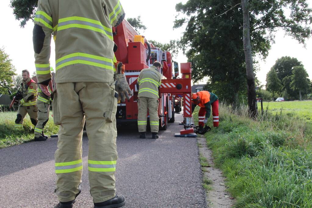 Vuurwerk zorgt voor brand in boom
