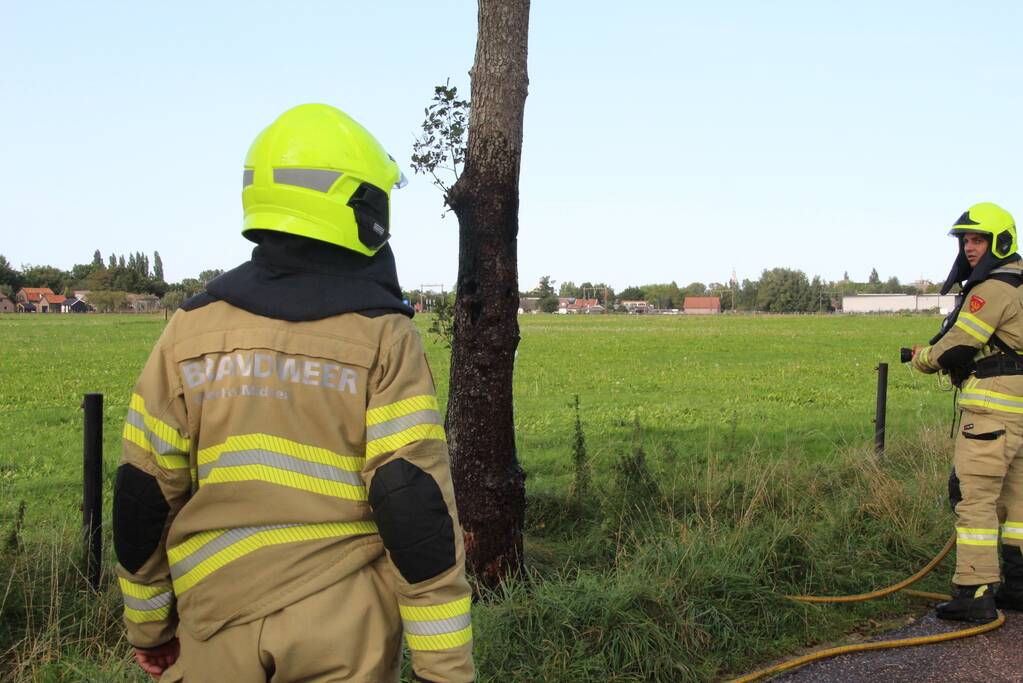 Vuurwerk zorgt voor brand in boom