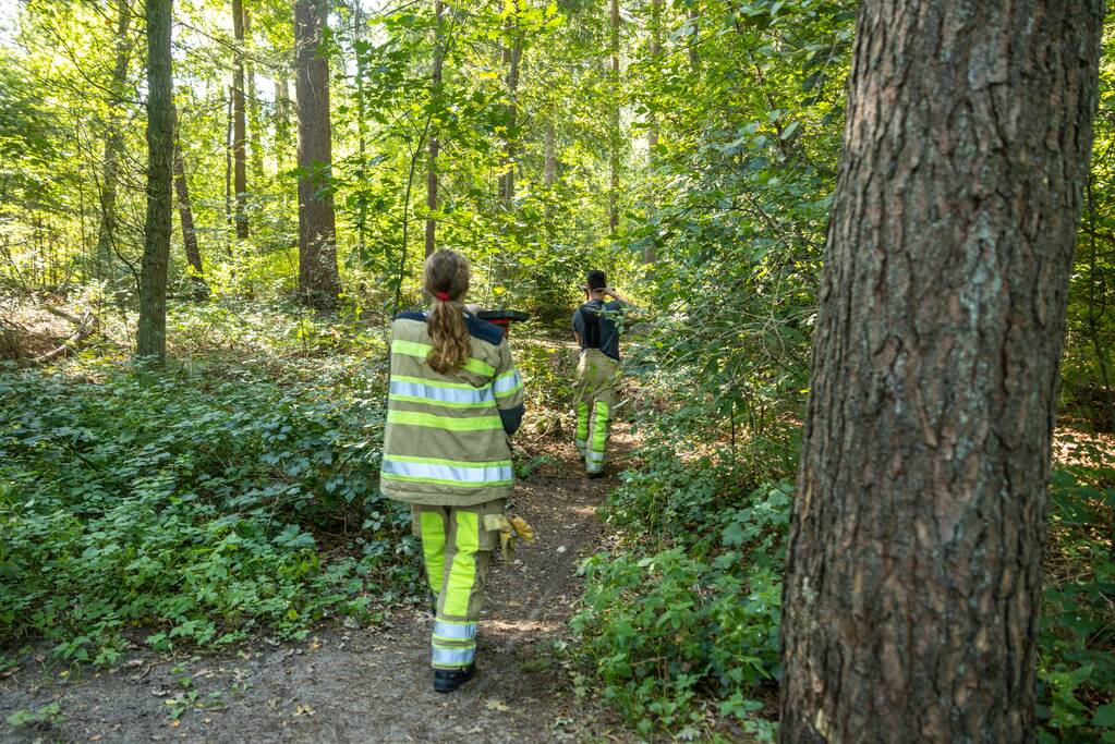Brandweer blust brand met pionnen