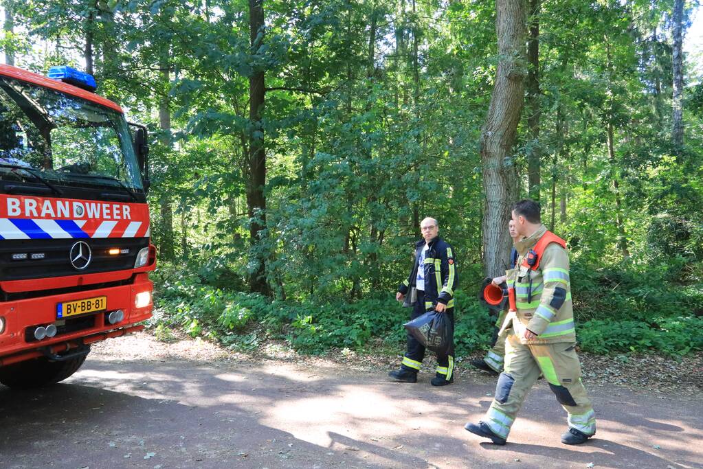Brandweer blust brand met pionnen