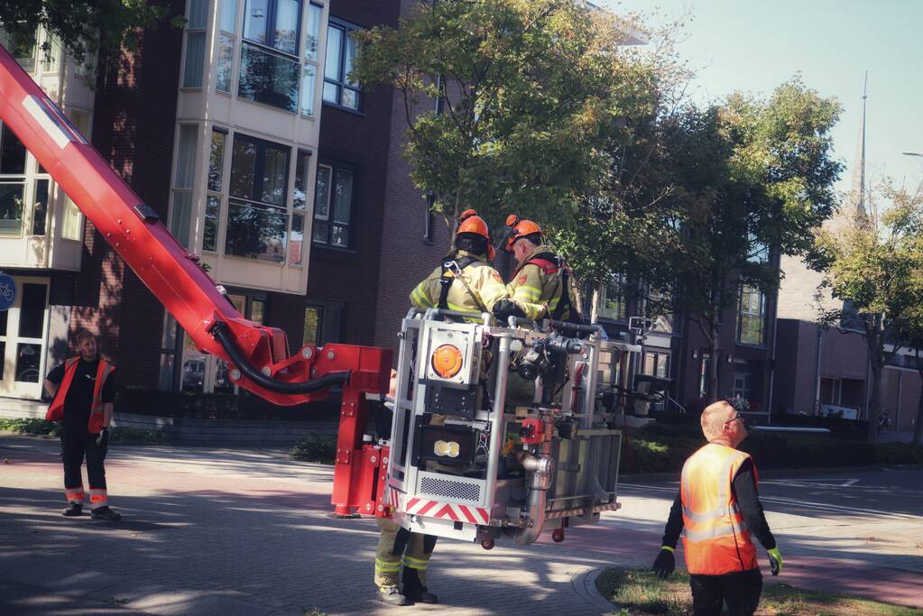 Gevaarlijk hangende takken verwijderd