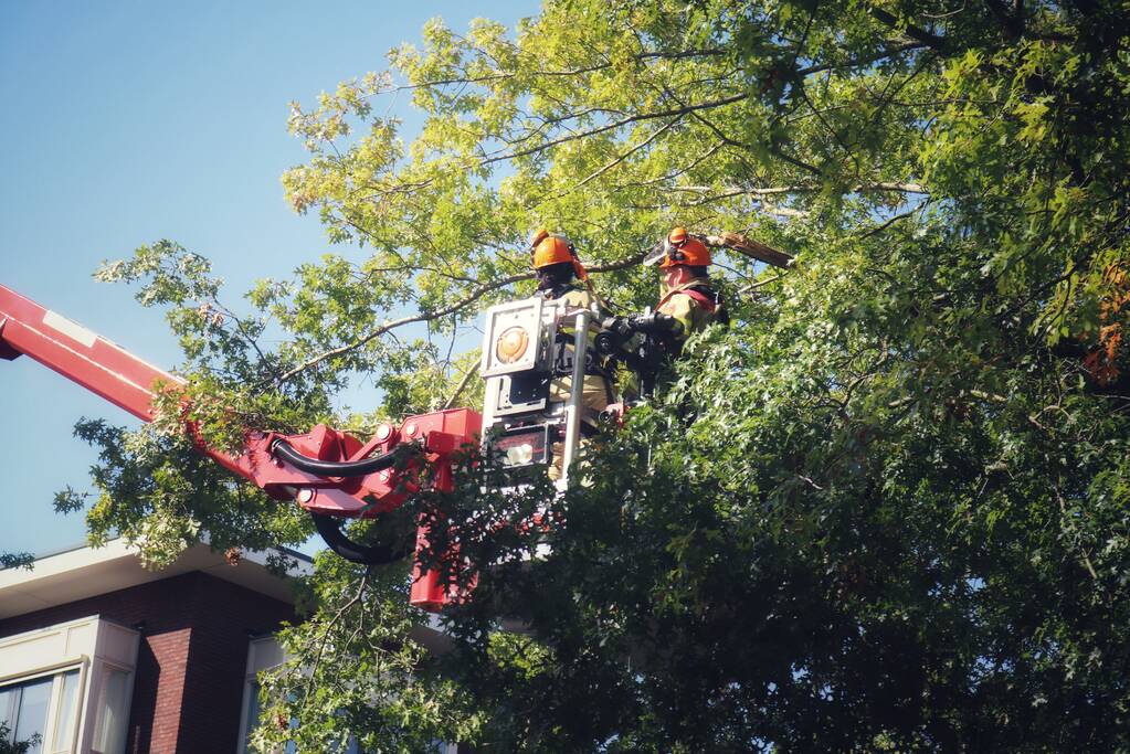 Gevaarlijk hangende takken verwijderd