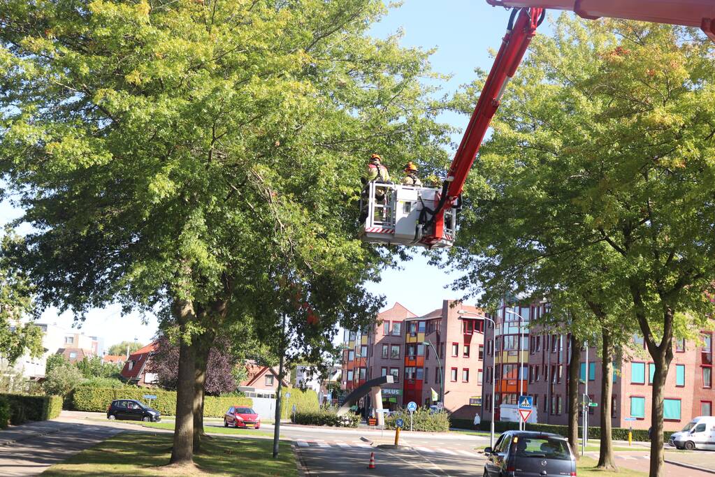 Gevaarlijk hangende takken verwijderd
