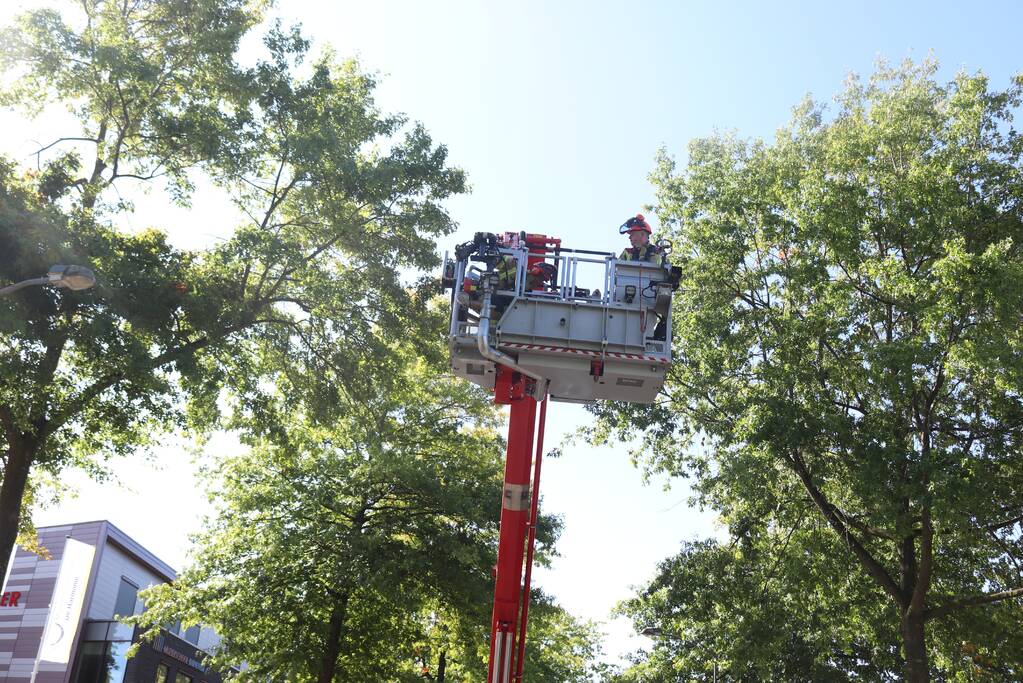 Gevaarlijk hangende takken verwijderd