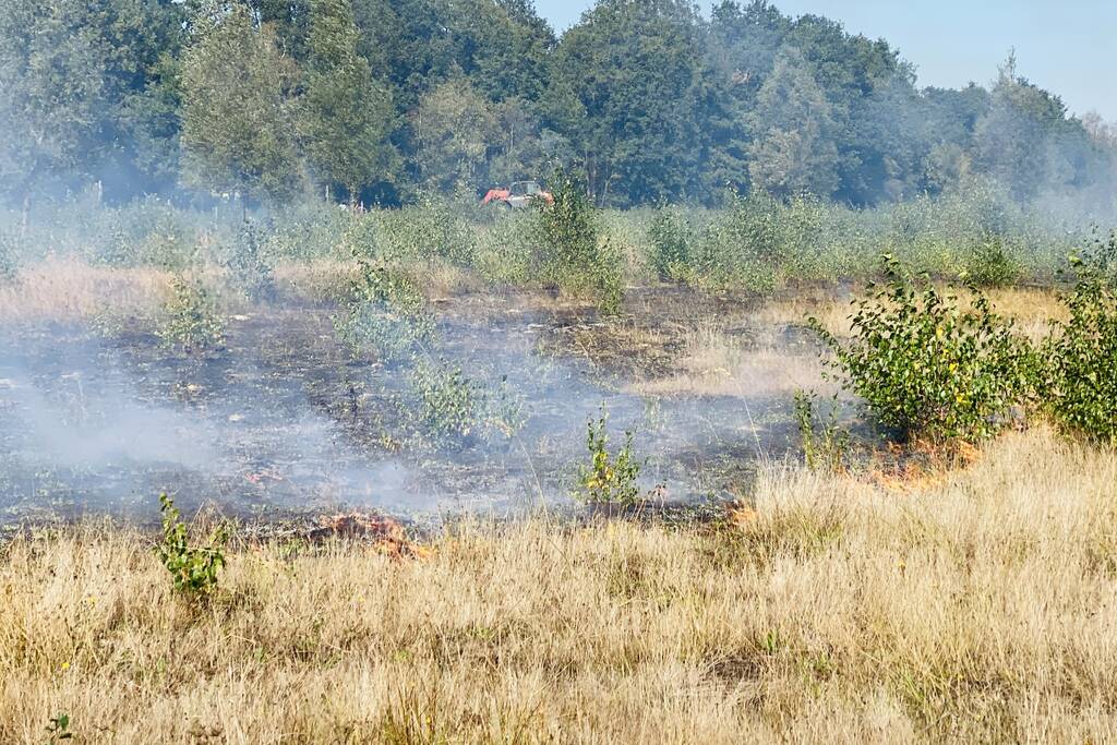 Grote bos heidebrand in natuurgebied