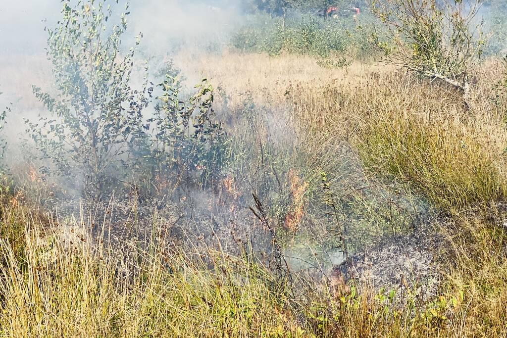 Grote bos heidebrand in natuurgebied