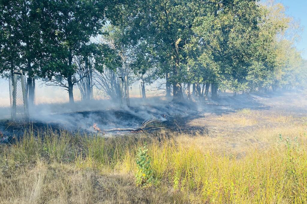 Grote bos heidebrand in natuurgebied