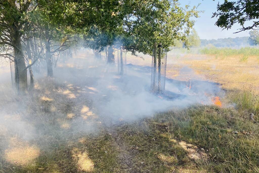 Grote bos heidebrand in natuurgebied