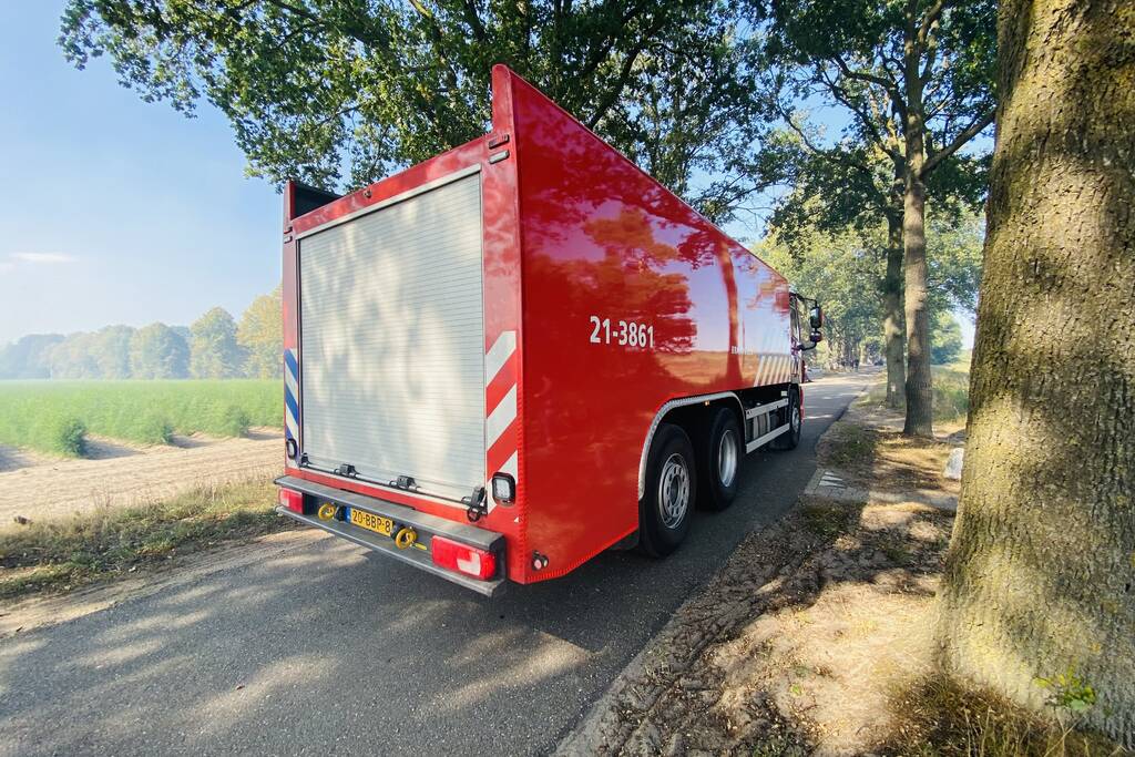 Grote bos heidebrand in natuurgebied