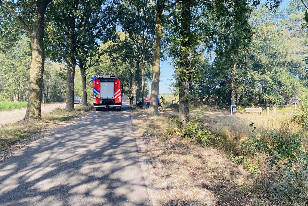 Grote bos heidebrand in natuurgebied