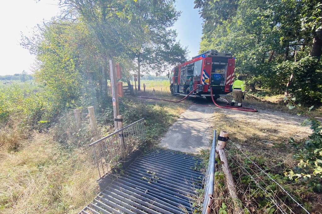 Grote bos heidebrand in natuurgebied