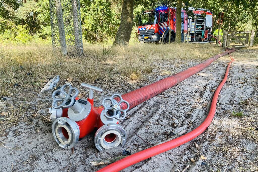 Grote bos heidebrand in natuurgebied