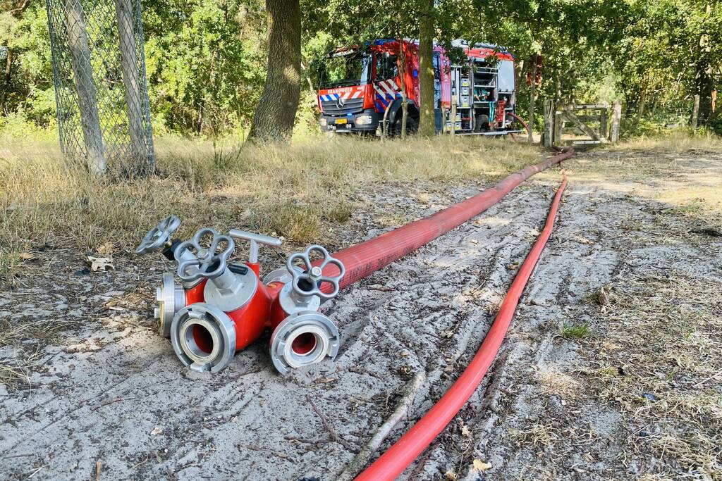 Grote bos heidebrand in natuurgebied