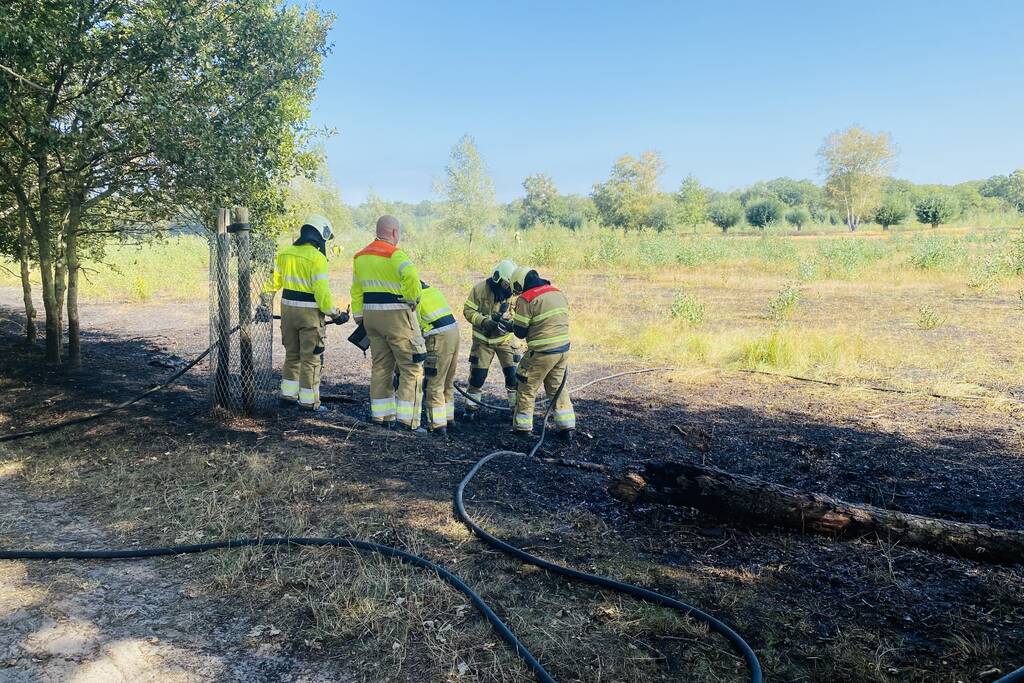 Grote bos heidebrand in natuurgebied
