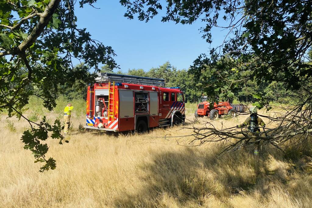 Grote bos heidebrand in natuurgebied